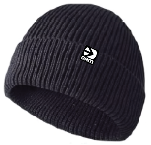 Icon Beanie