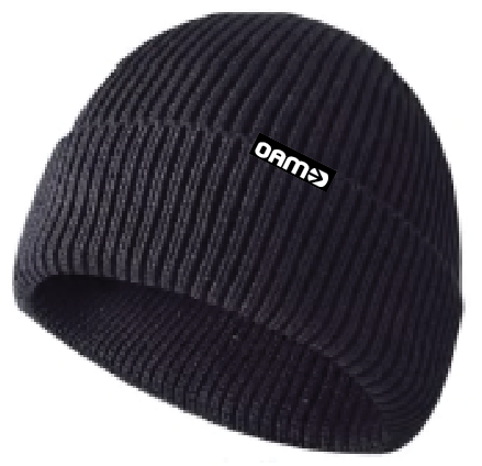 Logo Beanie